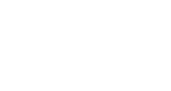 Xotique